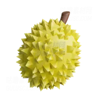 榴莲 Durian