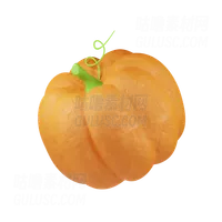 南瓜 Pumpkin