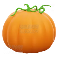 蔬菜南瓜 Vegetable Pumpkin