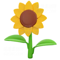 向日葵 Sunflower