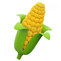 玉米 Corn