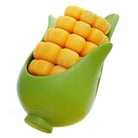 玉米 CORN
