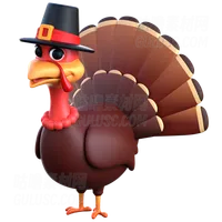 土耳其鸡肉 Turkey Chicken