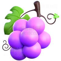 葡萄束 Grape Bunch