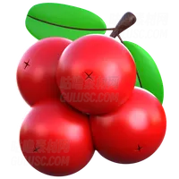 浆果 Berry