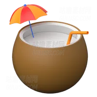 椰子饮料 Coconut drink