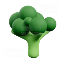 西兰花 Broccoli