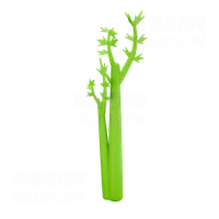 芹菜 Celery