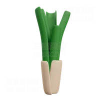 韭菜 Leek