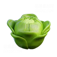 卷心菜 Cabbage