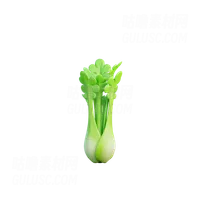 芹菜 Celery