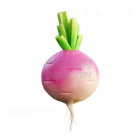 萝卜 Turnip
