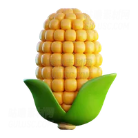 玉米 Corn